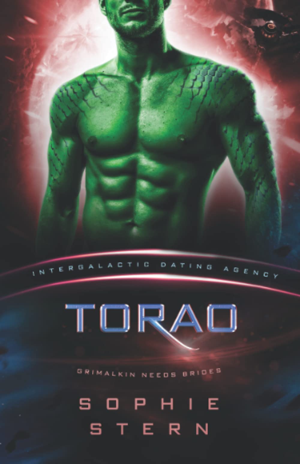 Book cover for Torao