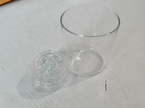 Clear Glass Flower Frog for Vases
