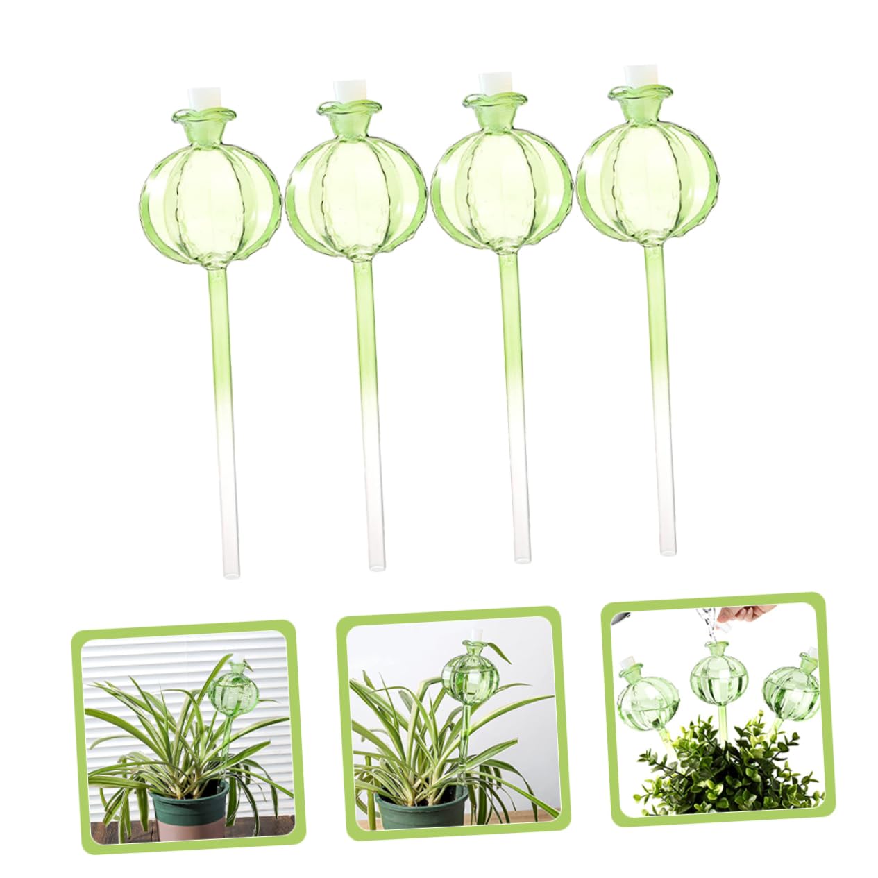IMIKEYA Globes D’arrosage Automatique Cactus 4 Pièces en Verre Borosilicate