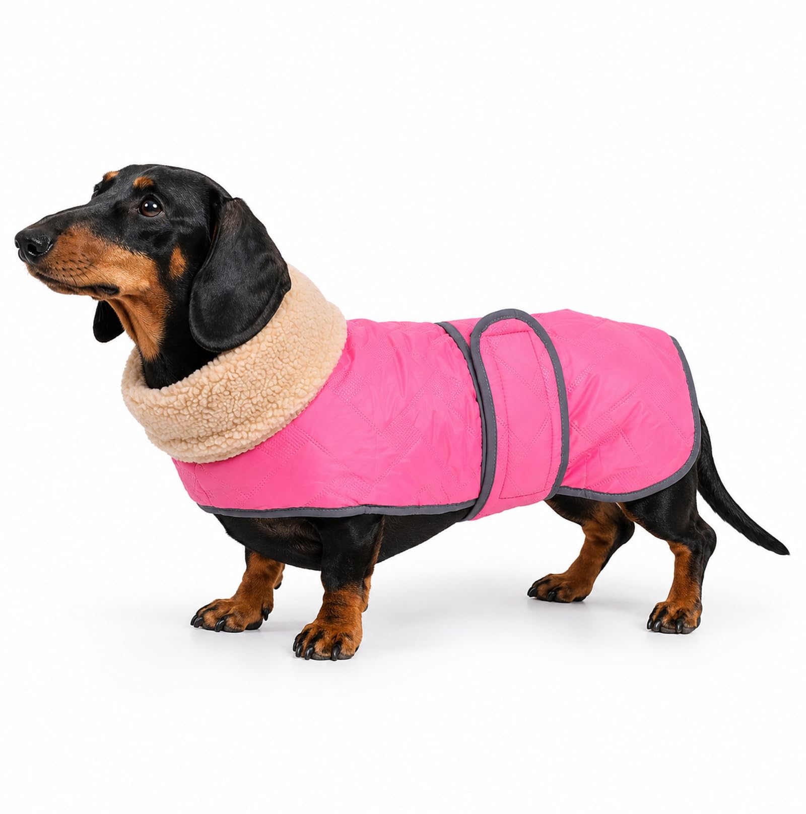 Morezi Dachshund Winter Coat Warm, Waterproof Pet Dog Coat for Dachshund