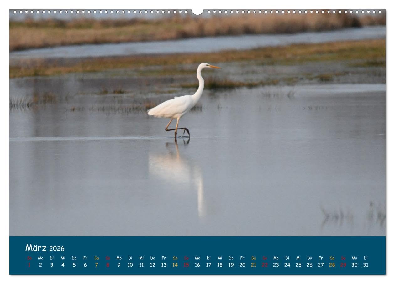 Naturschutzgebiet Wümme (hochwertiger Premium Wandkalender 2026 DIN A2 quer), Kunstdruck in Hochglanz: Ein Fotokalender mit Aufnahmen aus der Wümmeniederung, von Jens Siebert (CALVENDO Natur)