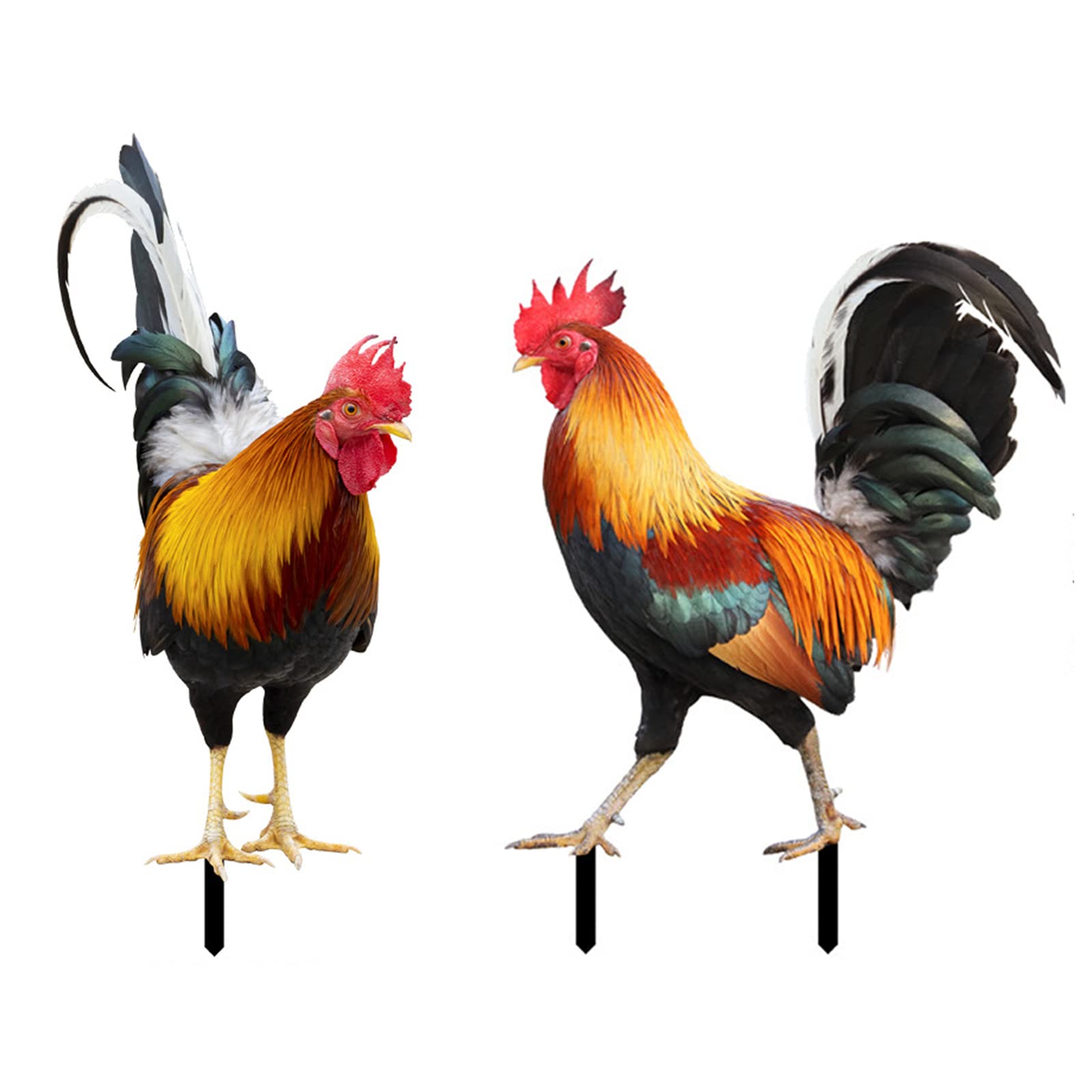 1/2 Piezas Estatua de Gallo Decoración de Jardín, Estacas Acrílicas de Gallo, Escultura Artística, Figuras Al Aire Libre, Adornos de Pollo de Gallo, Arte de Aves de Corral para Patio Trasero,(A+B)