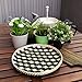 Ann Lee Design Handmade Round Basket Tray Extra Large - 14.02 x 14.02 x 0.98 Inches (Black)