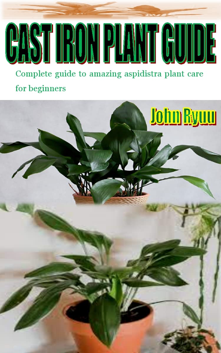Buy CAST IRON GUIDE Complete guide to amazing aspidistra care for