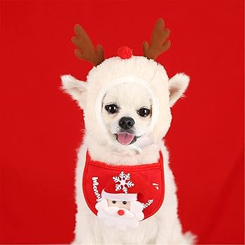 Amazon | KTTGYRE クリスマス 犬 猫 トナカイ 帽子 コスプレ