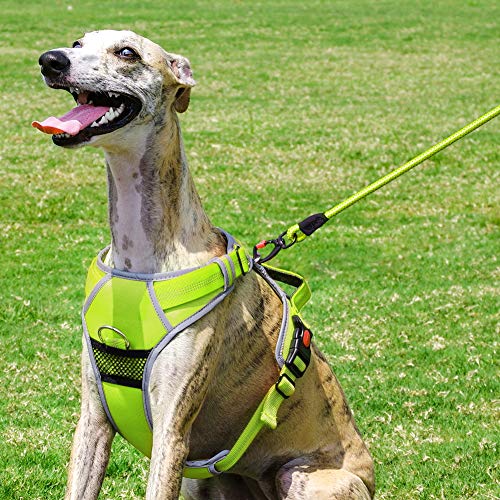 ThinkPet No Pull Harness Breathable Sport Harness with Handle - Reflective Padded Dog