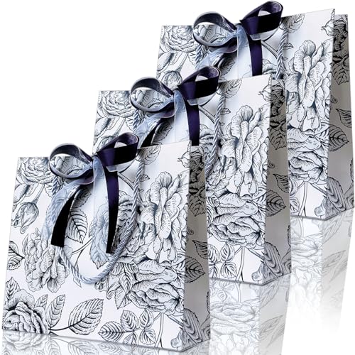 PARTNERR bsO MtgobO   TCYi22×25×8cmj킢  3 ԕ {2Ft a o ̓ o^C NX}X (Eclat Noiri[j, M)