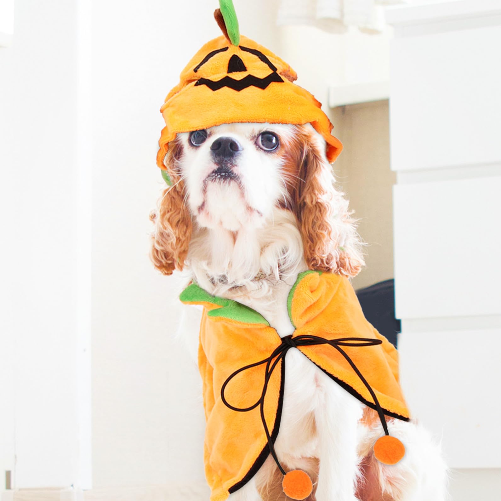 BESPORTBLE 2sets Costumi Per Animali Domestici Mantello e Cappello Tema Halloween Per Cani e Gatti Accessori Divertenti Per Feste Di Halloween Adatto Tutte Le Taglie
