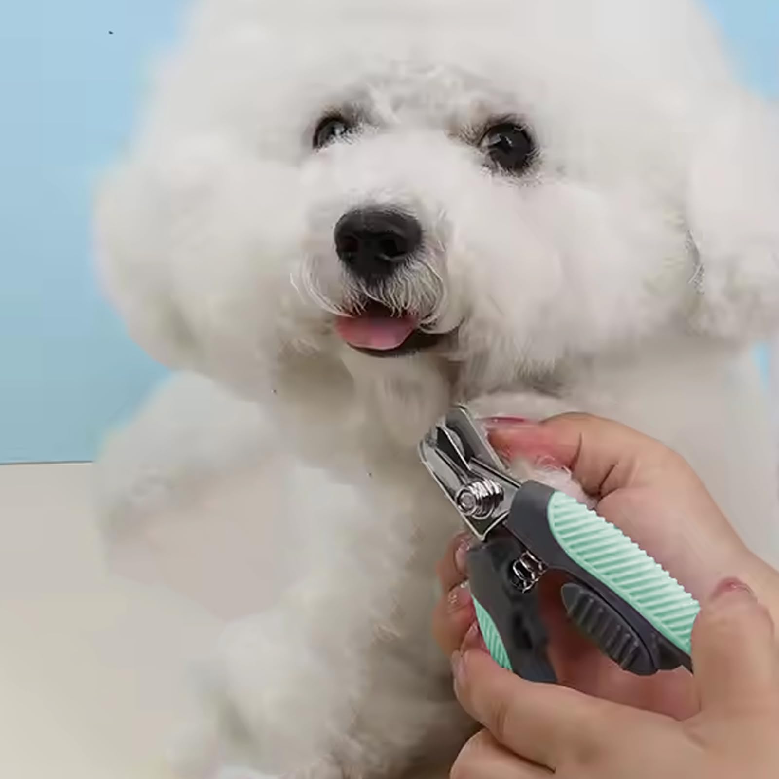 Pet Nail Clipper - Blue Metal Trimmer for Small Medium Dogs Cats with Safety Lock