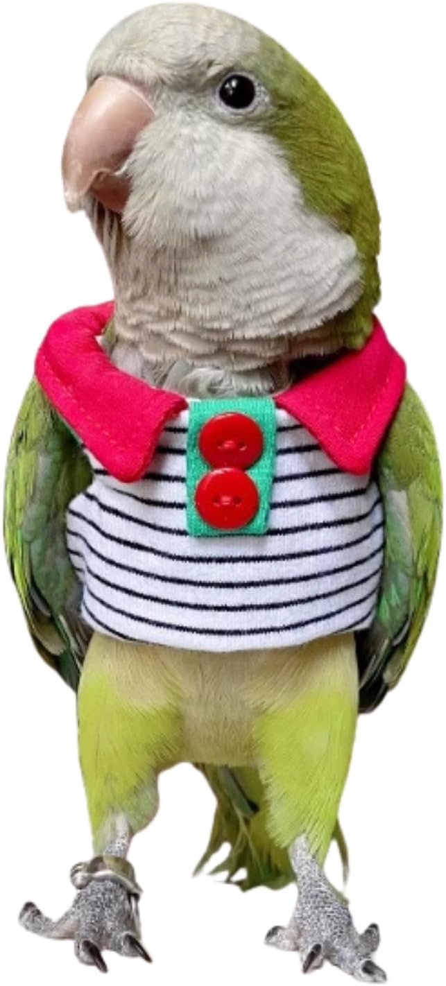 Bird Cloth for Party Holiday Halloween Christmas Bird Costume Bird Diaper Flight Suit Bird Clothes Cosplay Photo Prop for Parrots Lovebird Parakeet Cockatiel Small Animals Apparel (Red,XS)