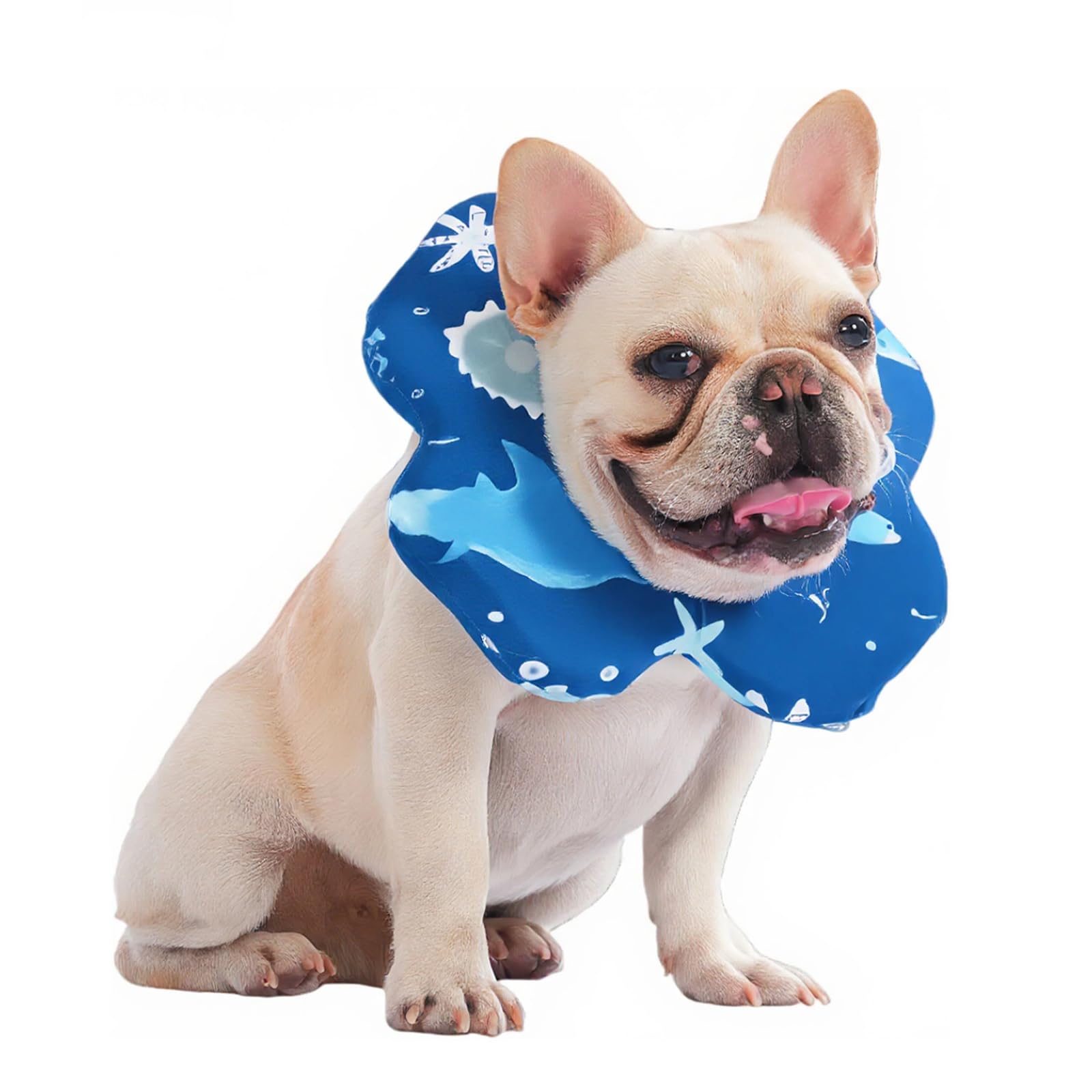 PetWarm Dog Recovery Collars, Recovery Collar for Dogs, Comfortable Lightweight Design for Licking Prevention, Soft Collar for Dogs After Surgery Flower Design, Marine Animal Patterns, Blue, L