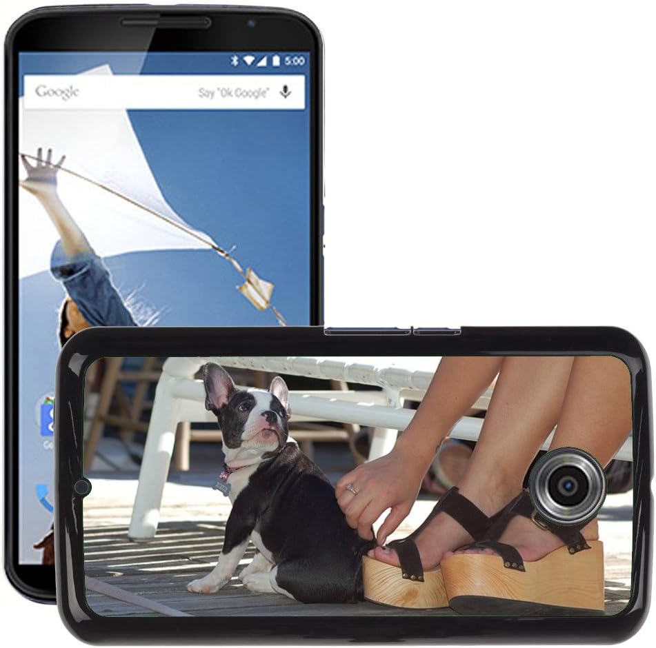 Super Stellar Slim PC Hard Case Cover Skin Armor Shell Protection // M00126755 Puppy Dog Animal Pet Small Sitting // LG Google Nexus 6