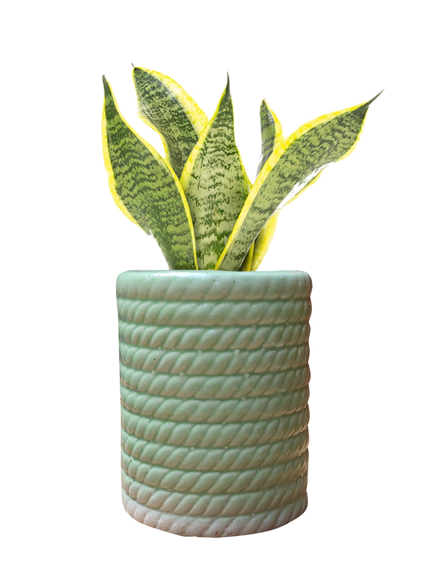 Gupta Homes Green Rope Ceramic Pot Size 4x5inch GH0014-02 (B0D8GZNHTT) Amazon Price History, Amazon Price Tracker