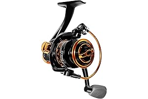 Summer and Centron Freshwater Fishing Reel, 12 +1 Ball Bearing Reel for...