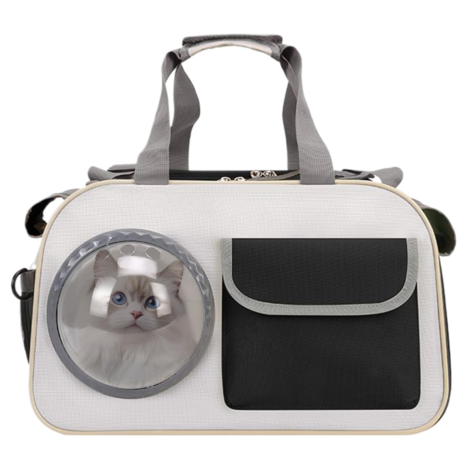 Sac de transport pour chat boîte de transport portable clinique voiture