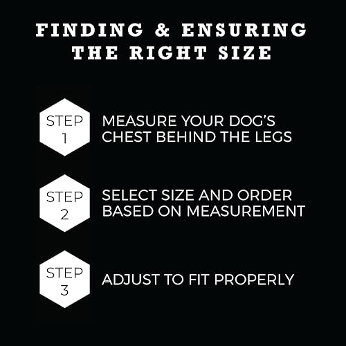 Miniatura 3 de Wolfgang - Arnés de alta calidad sin tirones para perros pequeños, medianos y grandes, fabricado en Estados Unidos, estampado Digifloral, mediano