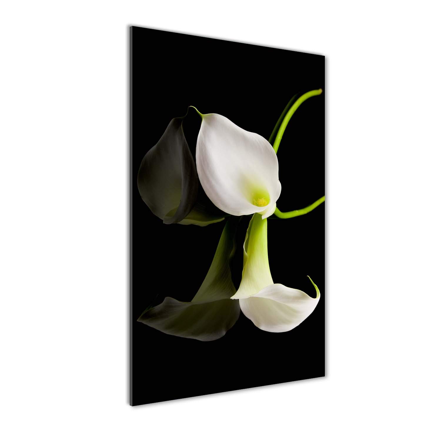 Impression sur Verre 60x120 cm Calla Blanc Tableau Panoramique pour Cuisine
