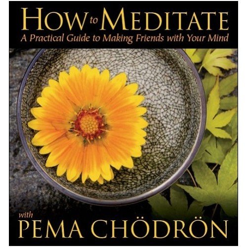 How to Meditate with Pema Chödrön