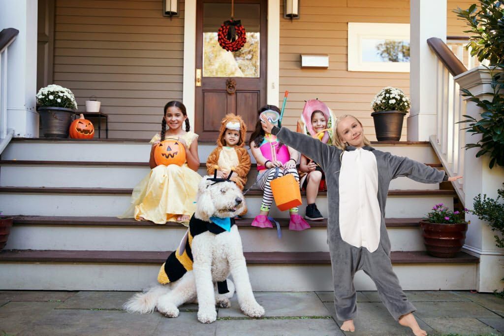 Petrella Animal Kids Onesie Cute One Piece Pajamas Halloween Costume Chrismas Cosplay Sleepwear Unisex for Boys & Girls - Image 4