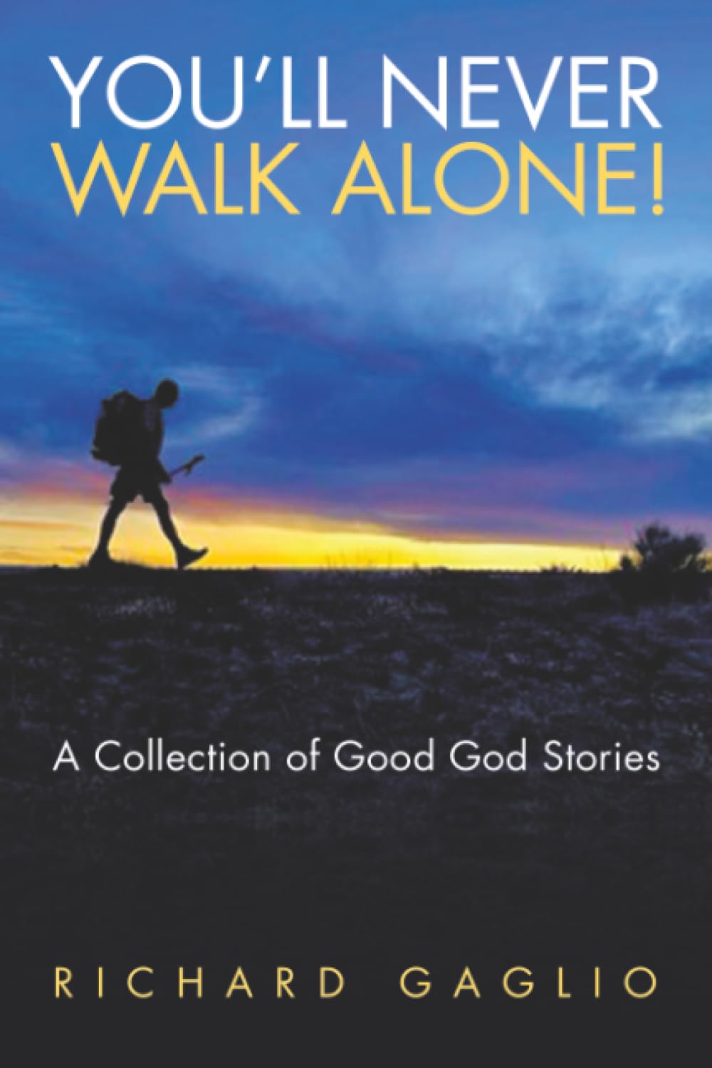 YOU’LL NEVER WALK ALONE!: A Collection of Good God Stories
