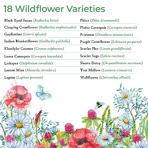 Tennessee Wildflower Seed Mix, Covers 325 Sq Ft, 18 Flower Varieties, Over 35,000 Seeds - Created By Nature