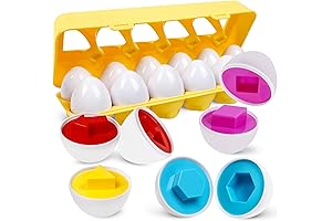 Matching Eggs for Toddlers - Educational Preschool Game for 1-3 Year Olds