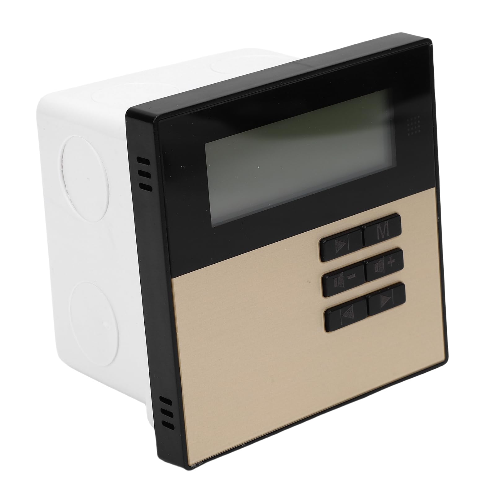 Wall Mount Music Amplifier with LCD Display