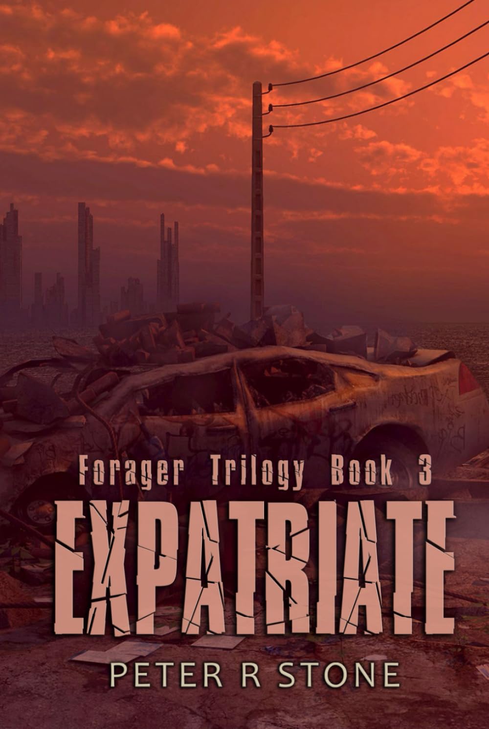Expatriate: Forager Trilogy Book 3 (Forager - A Post Apocalyptic/Dystopian Six Book Series)