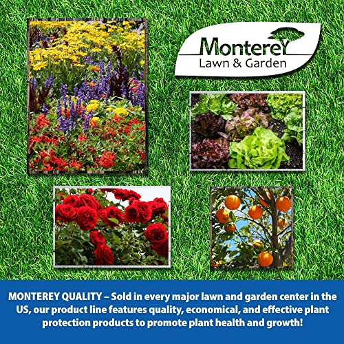Monterey LG 5366 Brush And Vine Control - Kills Stumps & Prevents Sprouting thumb #4