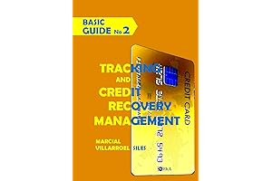 BASIC GUIDE Tracking and Credit Recovery Management (Analysis of Credit Risk Book 2)