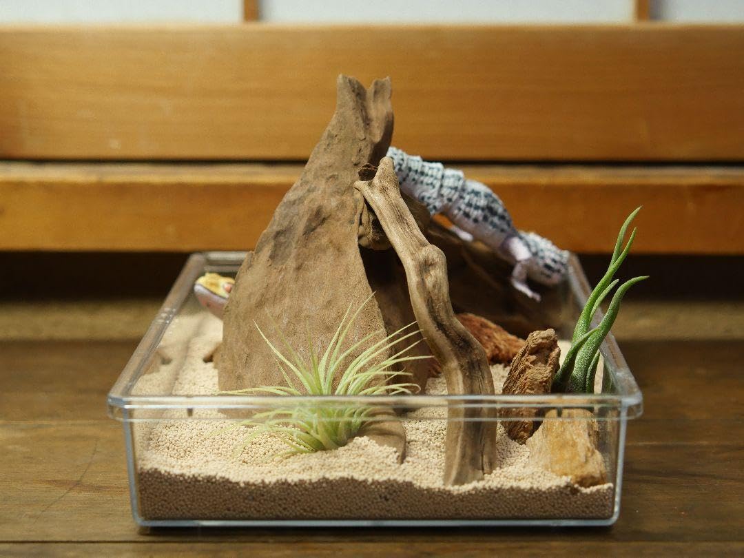 爬虫類ケージ 小動物ケージ レオパ フトアゴヒゲトカゲ Amazon.co.jp: レオパ 飼育 ケージ レオパードゲッコー フトアゴヒゲ
