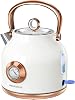 Retro-Wasserkocher 17 l Edelstahl-Teekessel mit Großer Temperaturanzeige 2200W Schnell Aufheizender Heißwasserboiler mit LED-Indikator Automatischer Abschaltung & Trockengehschutz (weiß)