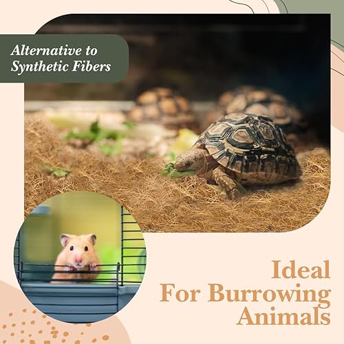 Miniatura 8 de Urban Thumb & Co Fibra de coco ultra premium, cubierta superior para plantas de interior/exterior, compacta para vida urbana, 9 onzas