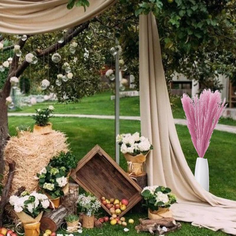 Pampas Grass Large Fall Pampas Grass Decor miniatura 3