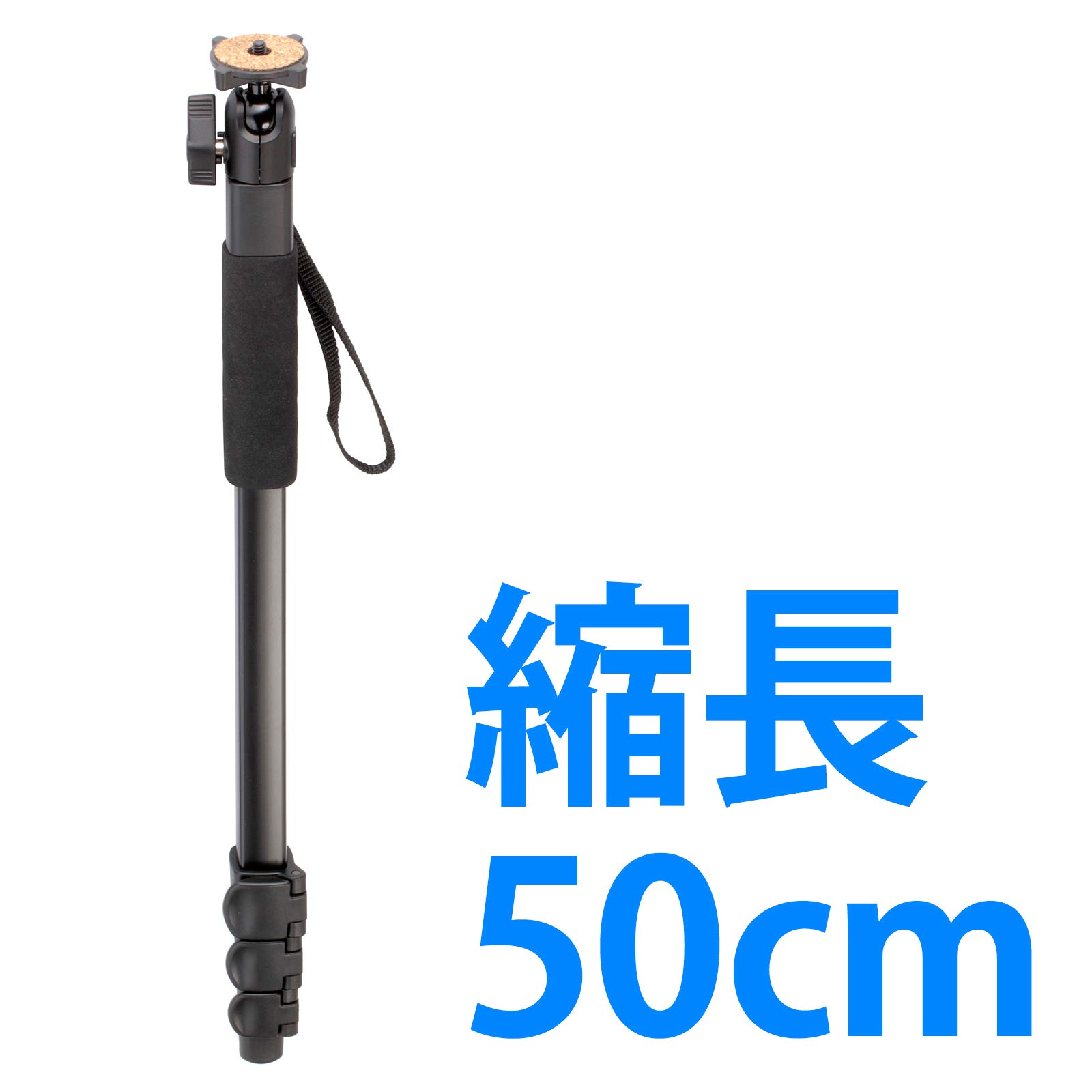 ロビン・フッド ホイル2枚セット ○○Locking Shoes ロッキングシューズ by FootMonkey フット