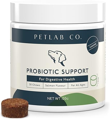 Petlab Co Dog Probiotic Chew Supplement Supports Gut Health Body S Natural Defences Probiotics For Dogs Formulated With Inulin Bacillus Subtilis Kelp Blueberries Amazon Co Uk Pet Supplies