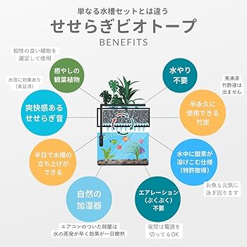 Amazon | せせらぎビオトープ 水替え不要【水槽セット】 25cm型