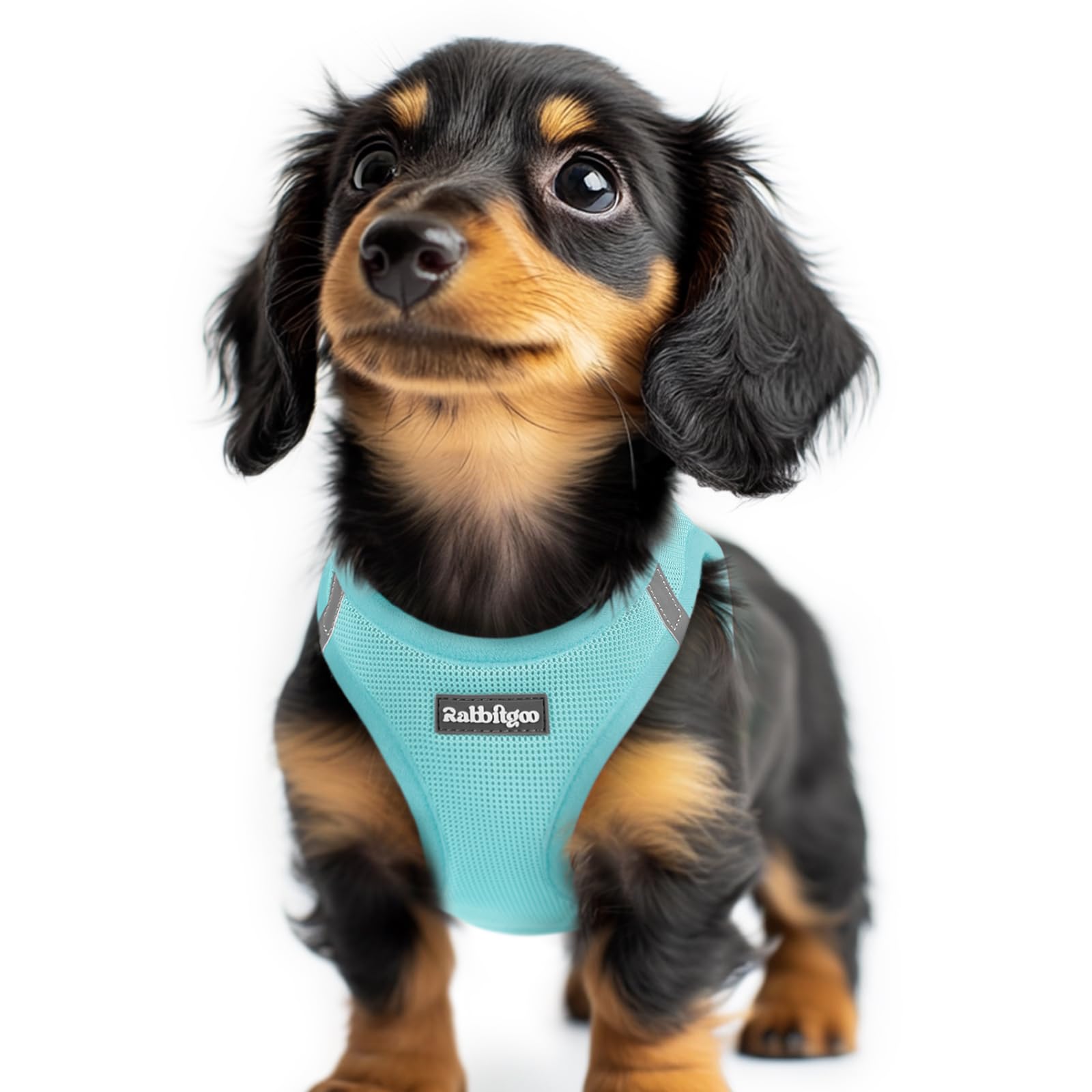 rabbitgoo Dog Harness Small Dog, Step-in Soft Mesh Puppy Harness with Reflective Strips, Lightweight Breathable Pet Vest for Walking Training, Mint Blue, XXS