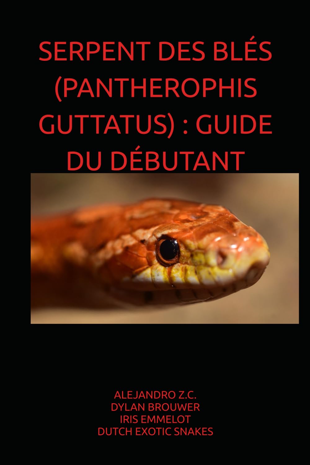 SERPENT DES BLÉS (PANTHEROPHIS GUTTATUS) : GUIDE DU DÉBUTANT