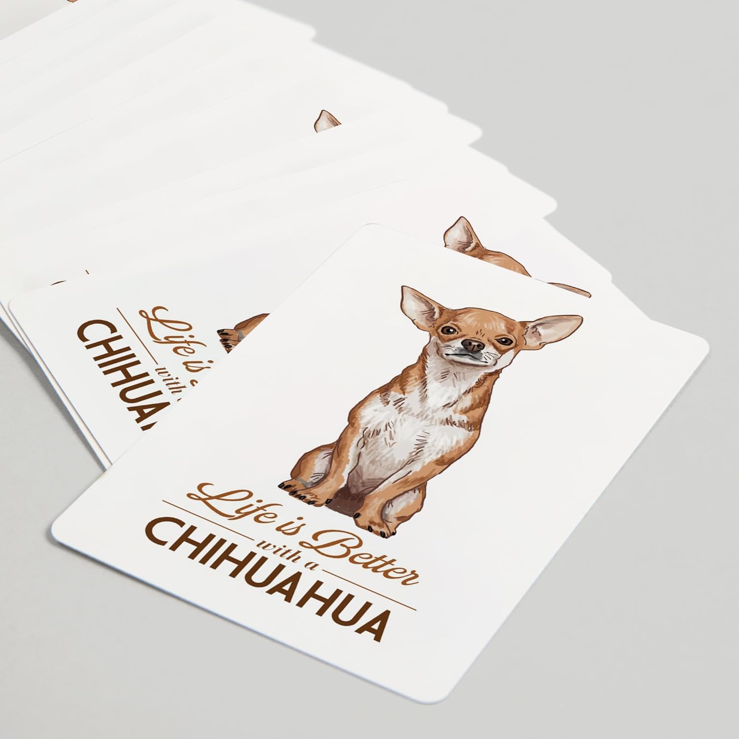 Lantern Press Chihuahua, Life is Better, 52 Playing Cards for Adults, Poker Size Card Deck