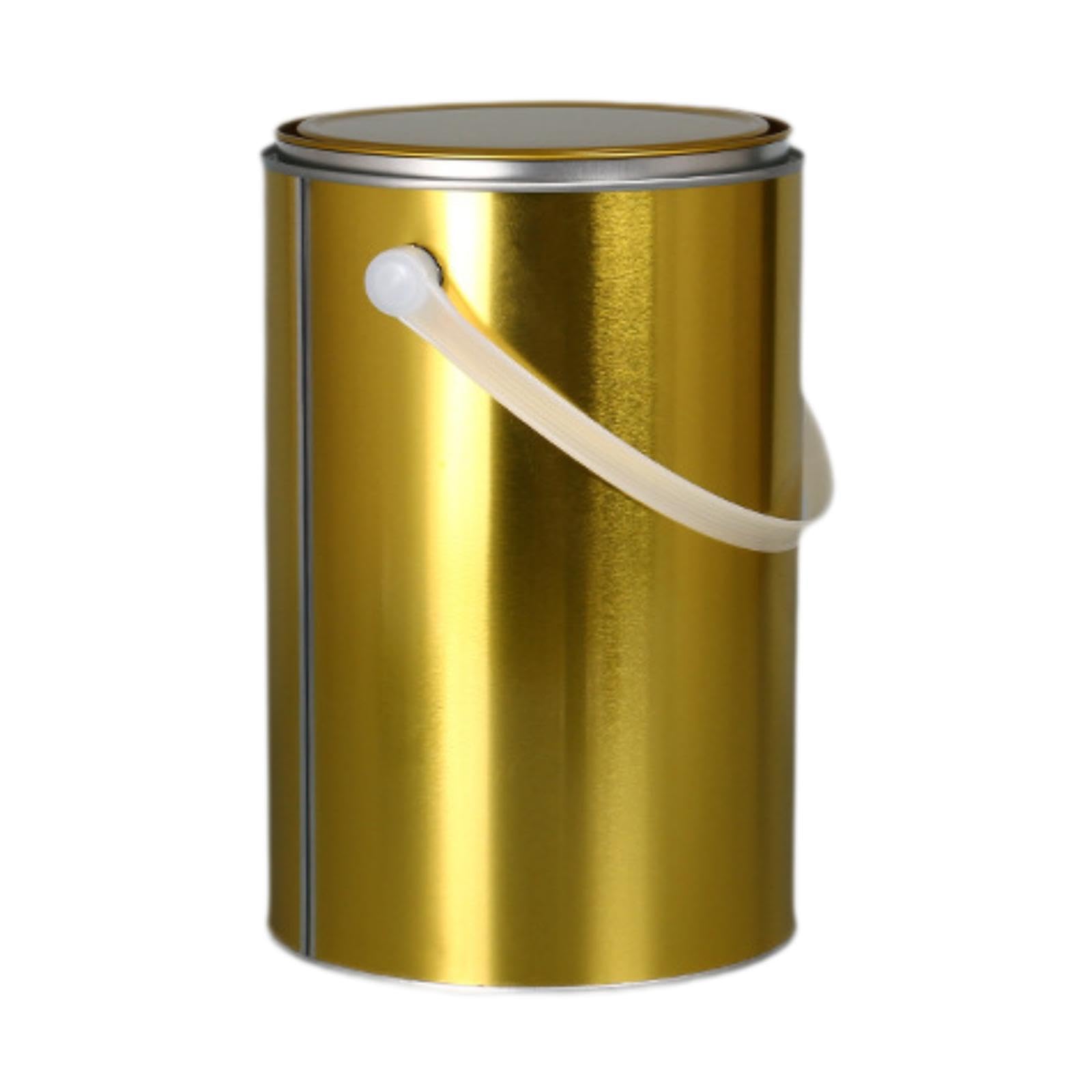 BLWOTMOR Empty Rustproof Metal Paint Can with Handle And Lid, Paint Container, DIY Projects And, 5L