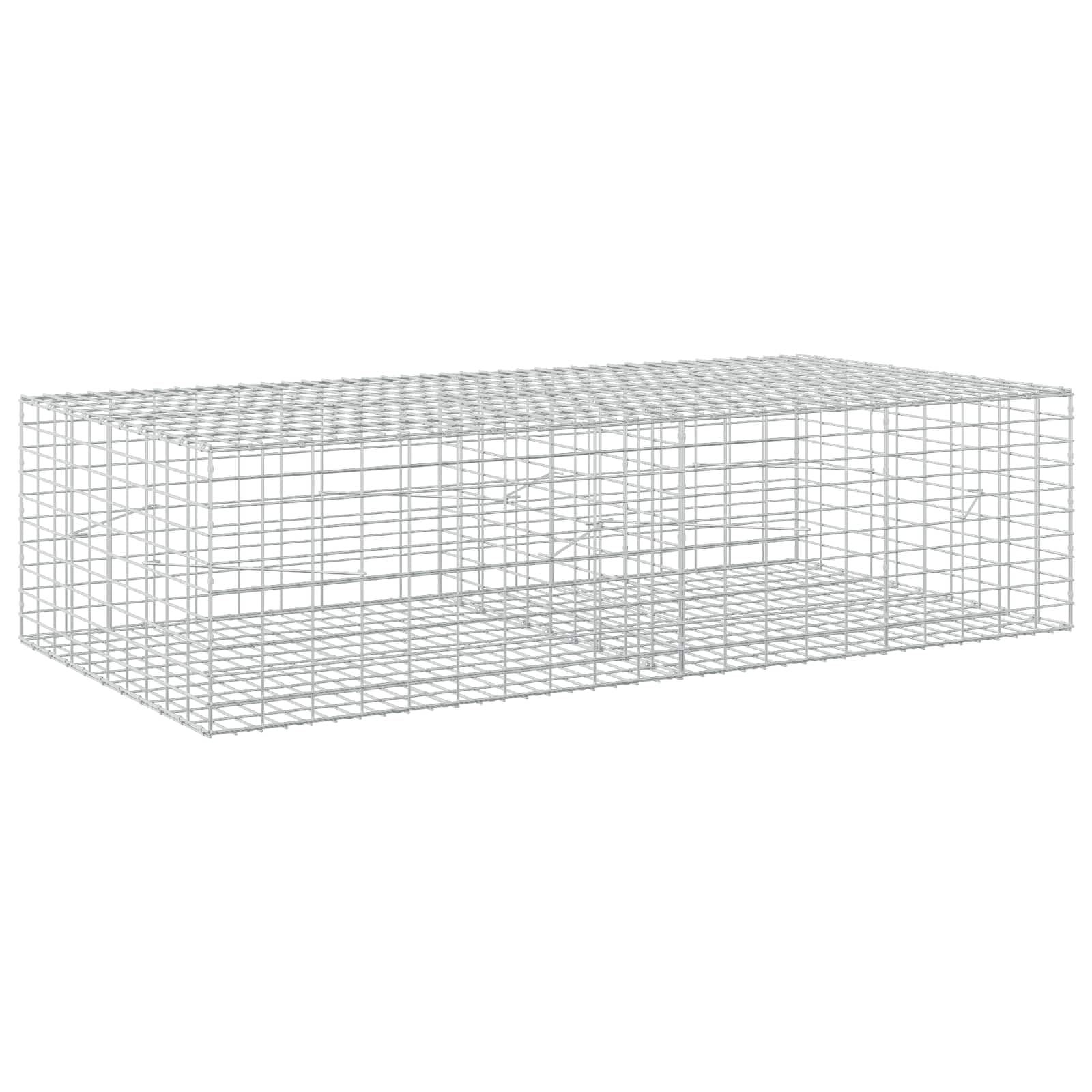 vidaXL Gabion with 3.5 mm Wire and 5x10 cm Mesh 200x100x50 cm