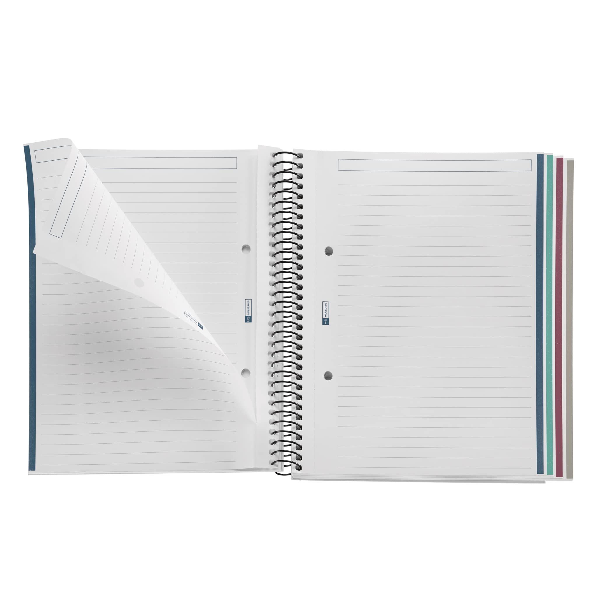 Miquelrius, A5 Notebook, 4 Colour Stripes, Horizontal Ruled 7 mm, 120 Sheets of 70 g/m², Spiral, Ruled Notebook - Image 3