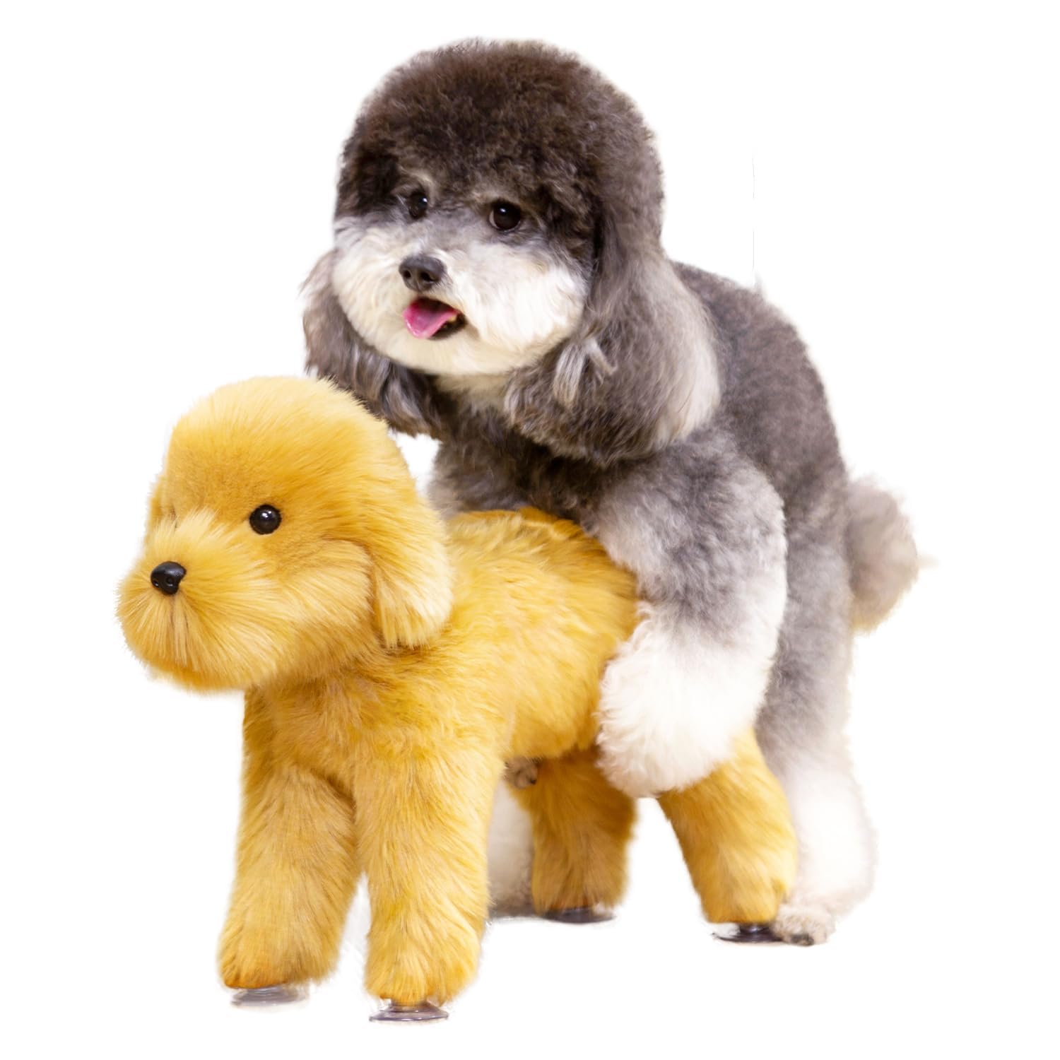 Jouets de compagnon pour chiens en silicone pour stopper les chevauchements