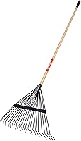 CRAFTSMAN 22-Tine Wood Handle Lawn Rake - Spring-Backed Tines for Thatch Removal & Debris Cleanup