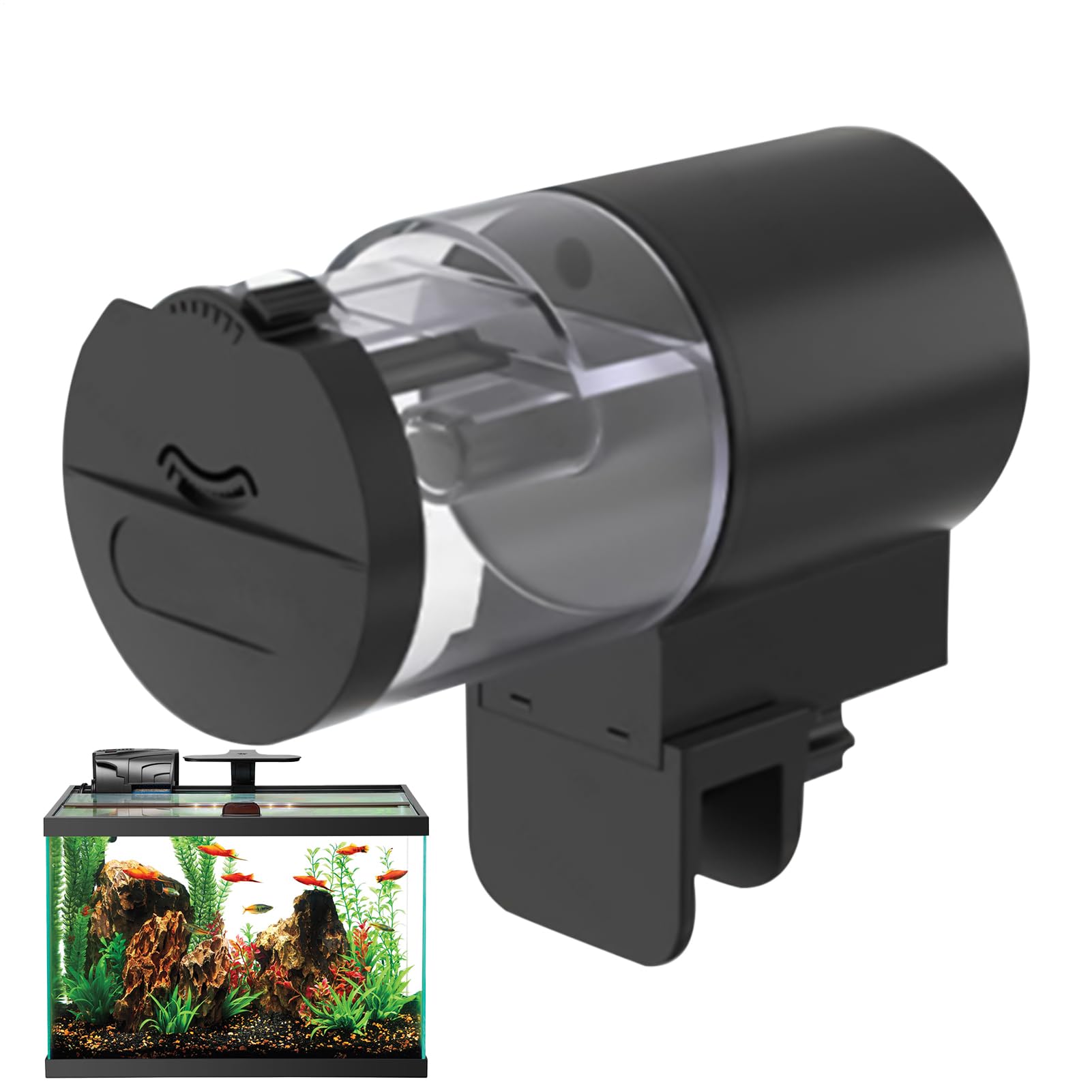 Distributeur automatique de nourriture pour aquarium : finie la sous-alimentation des Betta