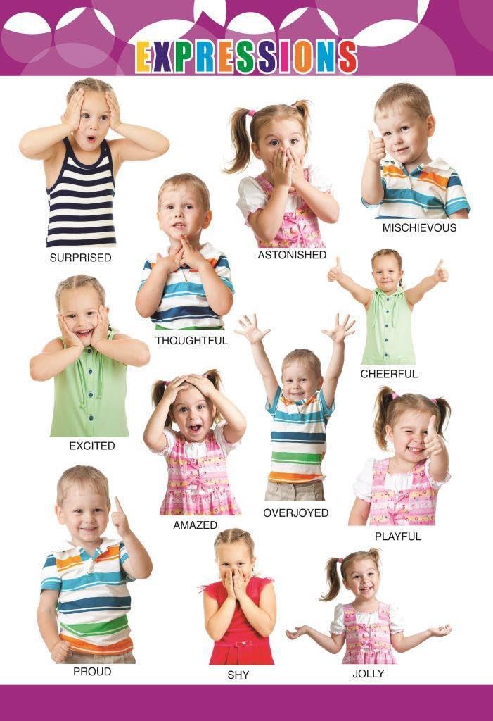 Eoi Marketing Expressions Wall Charts - Extremely Usefull For Growing Kids | Laminated Chart |Paper Size (13 * 19 Inch) | Paper Print (Rolled With Safety Tube) Paper Print (19 Inch X 13 Inch)-image-19