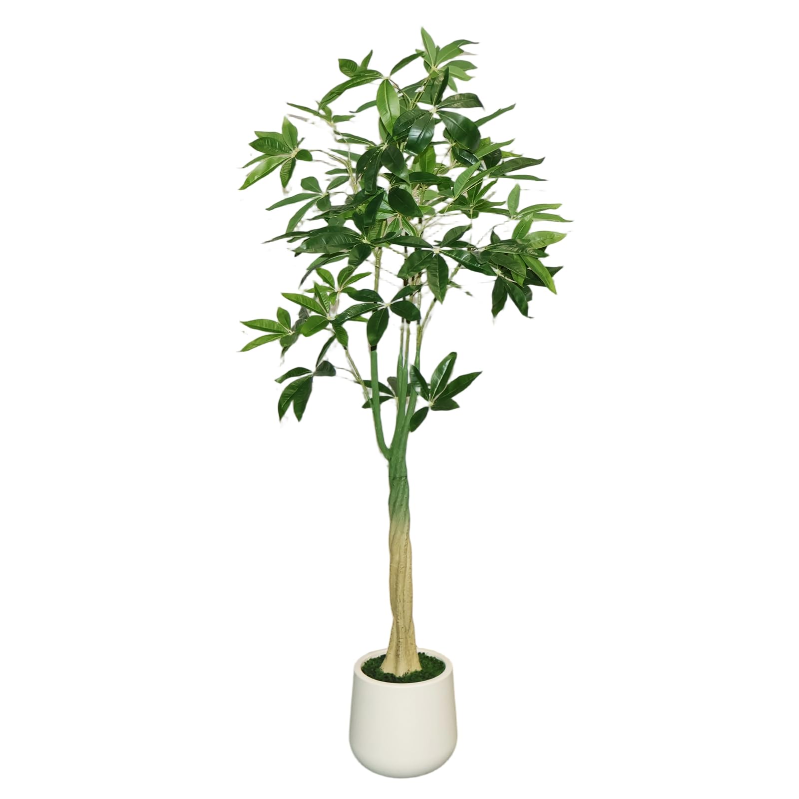 フェイクグリーン　バキラ 人工観葉植物 150cm Amazon｜パキラ フェイクグリーン・人工観葉植物・大型150cm・お手入れ