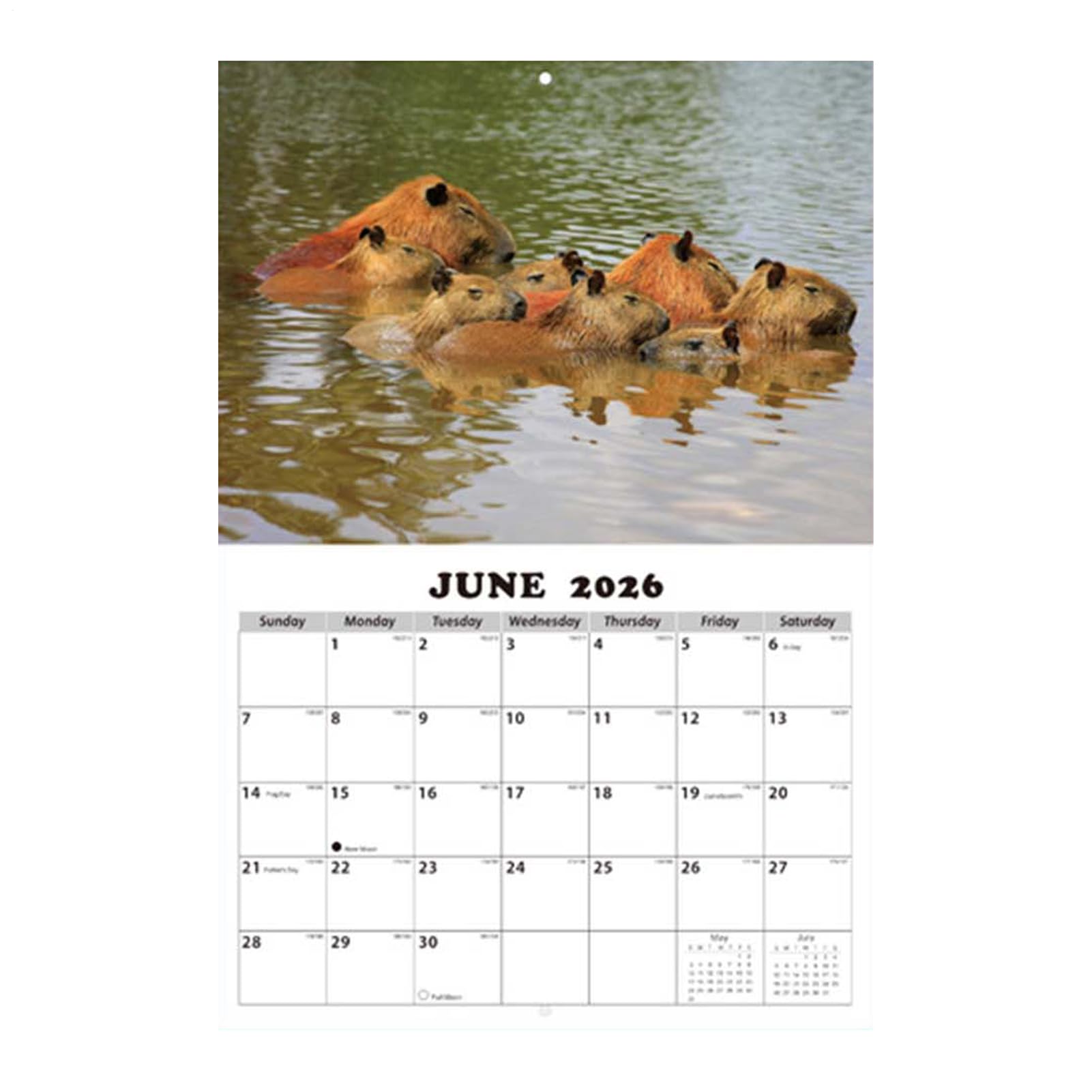 12 Monate Wandkalender,Englischer Terminplaner - 12 Monate Kalender für | die Wandmontage,Für Klassenzimmer Wohnzimmer Studentenzimmer Arbeitszimmer Schüler Lehrer