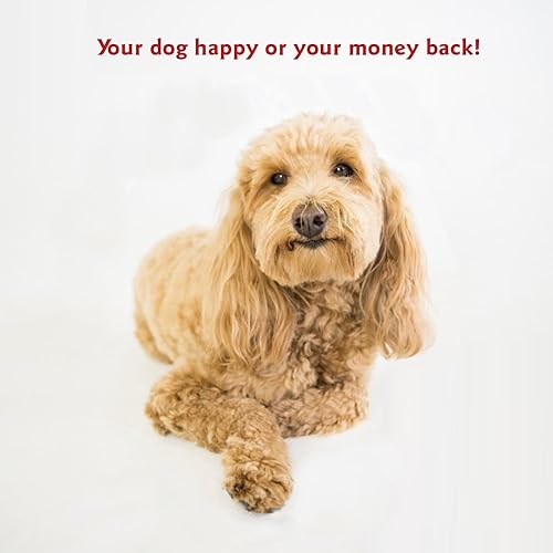 Miniatura 6 de Majestic Pet - Cama mediana para mascotas de 28 x 35 pulgadas, color rojo